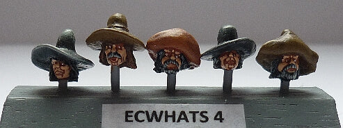 BIC-ECWHAT04 - Broad brimmed hats - wide and tall