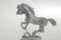 BIC-H020 - Light horse galloping, full stretch, gathering in