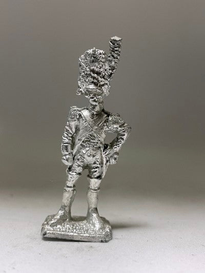 BIC-FN048 - Old Guard Foot Artillery standing, bearskin