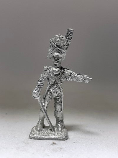 BIC-FN049 - Old Guard Foot Artillery Officer, bearskin