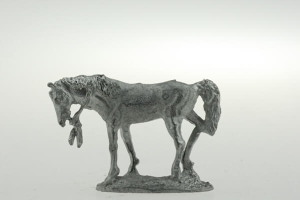 CON-H008 - Indian pony standing