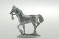 CON-H009 - Indian pony trotting