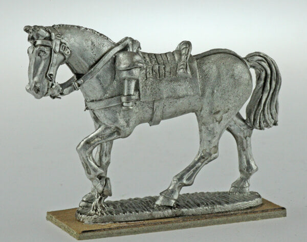 BIC-ECWH001 - Horse walking