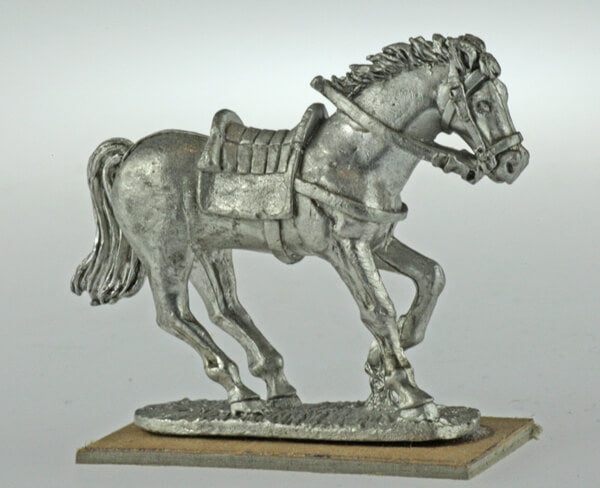 BIC-ECWH003 - Dragoon horse coming to the stop