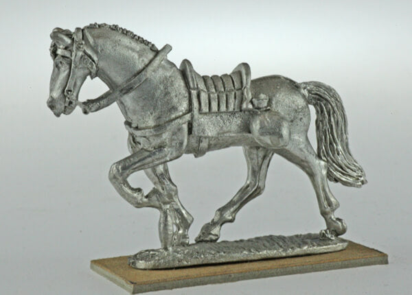 BIC-ECWH004 - Dragoon horse walking
