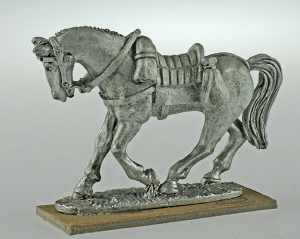 BIC-ECWH005 - Dragoon horse trotting