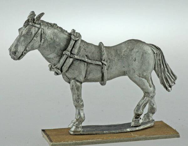 BIC-ECWH009 - Limber horse standing