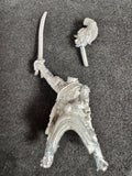 FLM-WNC002 - Mounted Jaeger trumpeter