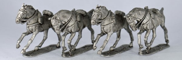 SWH1 British/BLC/BIC Horse Galloping